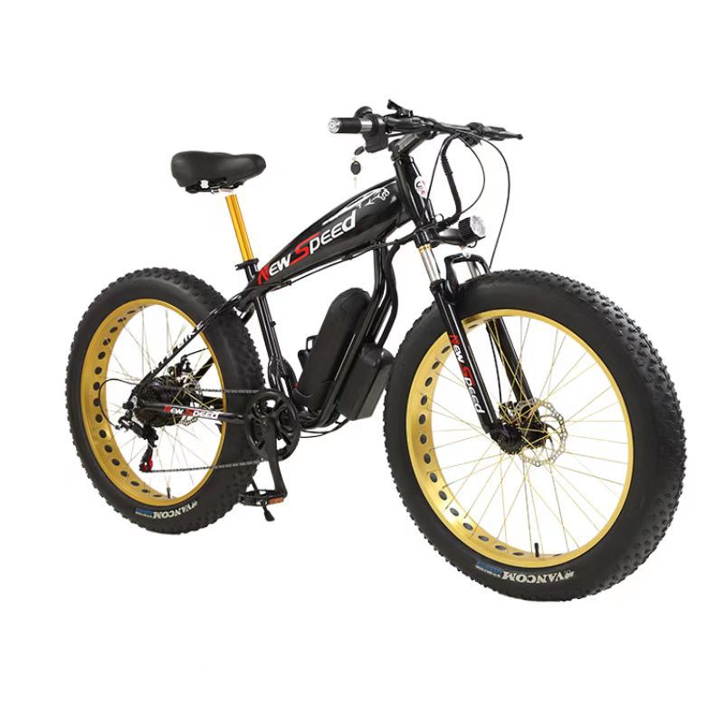 Sports Bike Folding Electric Bike
